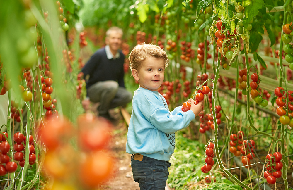 CS - Highlights - Consciously Growing Together.png