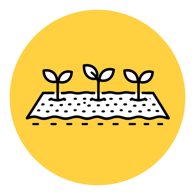 CS - groundcover study - Temperature - Challenge Pages - yellow icon.png