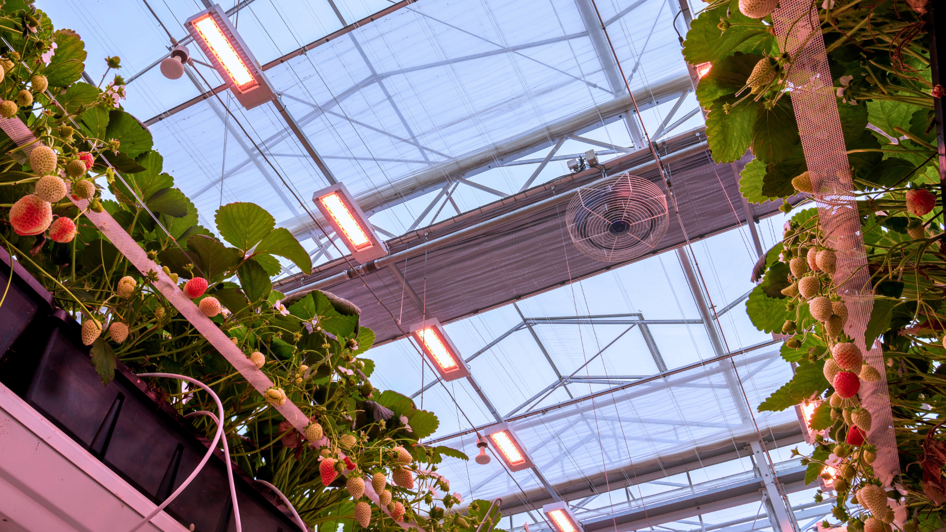CS - ClimaFlow - LEDs - Double Screens - Highlight - 2026.png