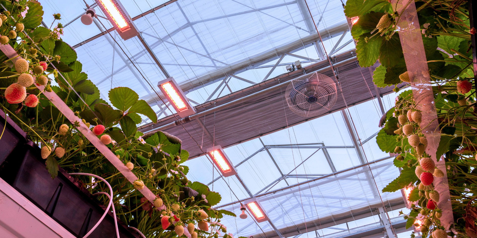 CS - ClimaFlow - LEDs - Double Screens - Highlight - 2026.png